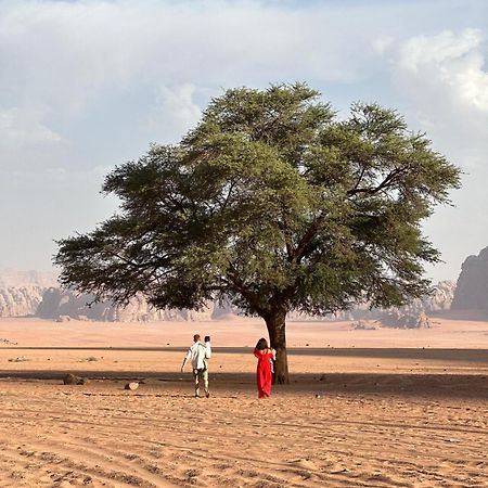 Sunset Dreams Camp Apartment Wadi Rum Luaran gambar