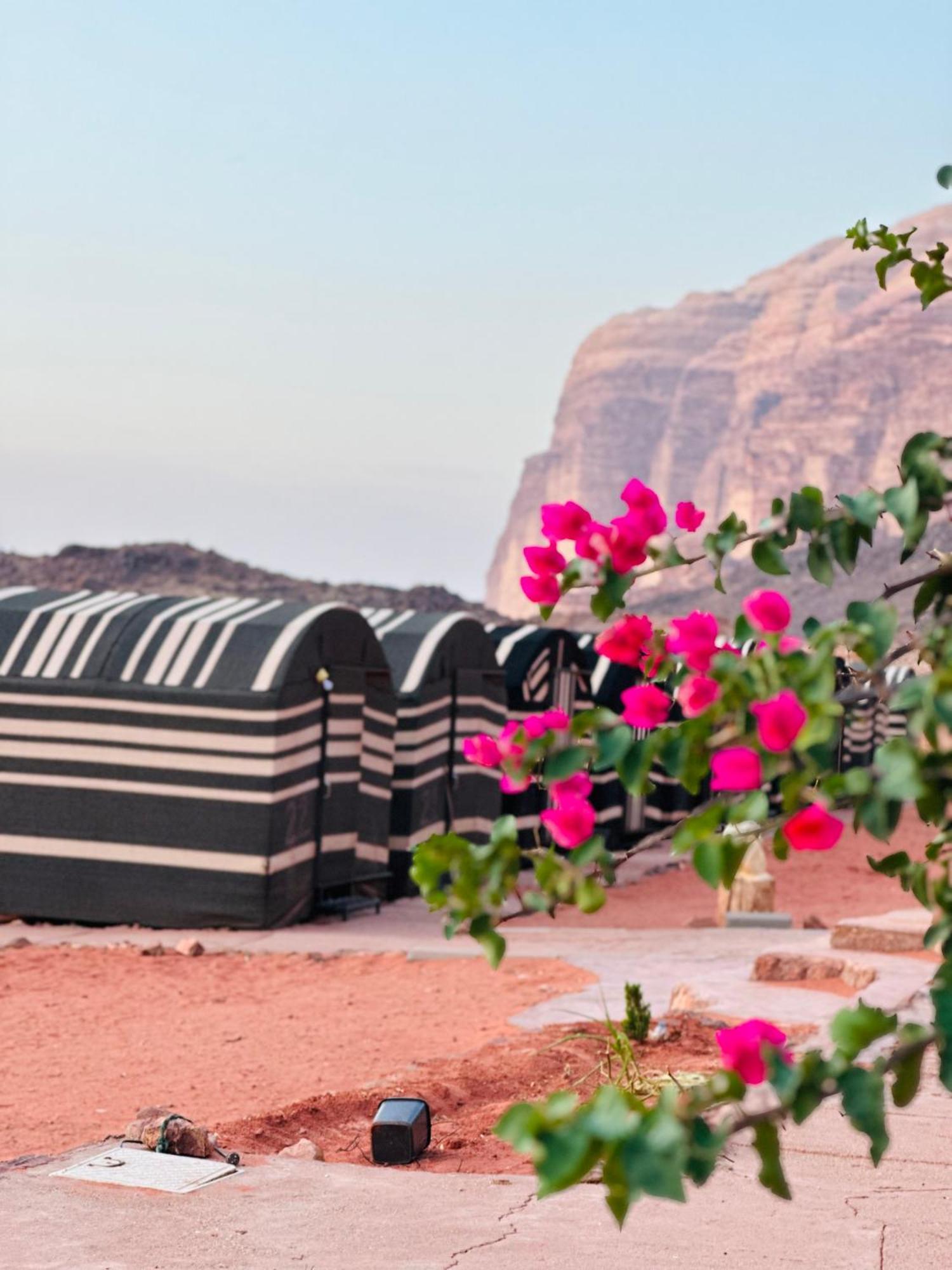 Sunset Dreams Camp Apartment Wadi Rum Luaran gambar